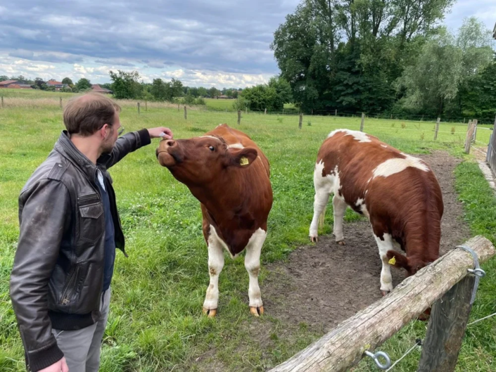 Breeder Norbert Meinikmann and his Maine Anjou heifers